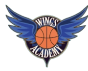 Wings academy